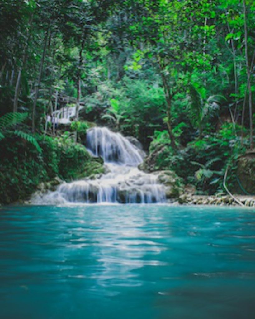 Traitement de l’eau